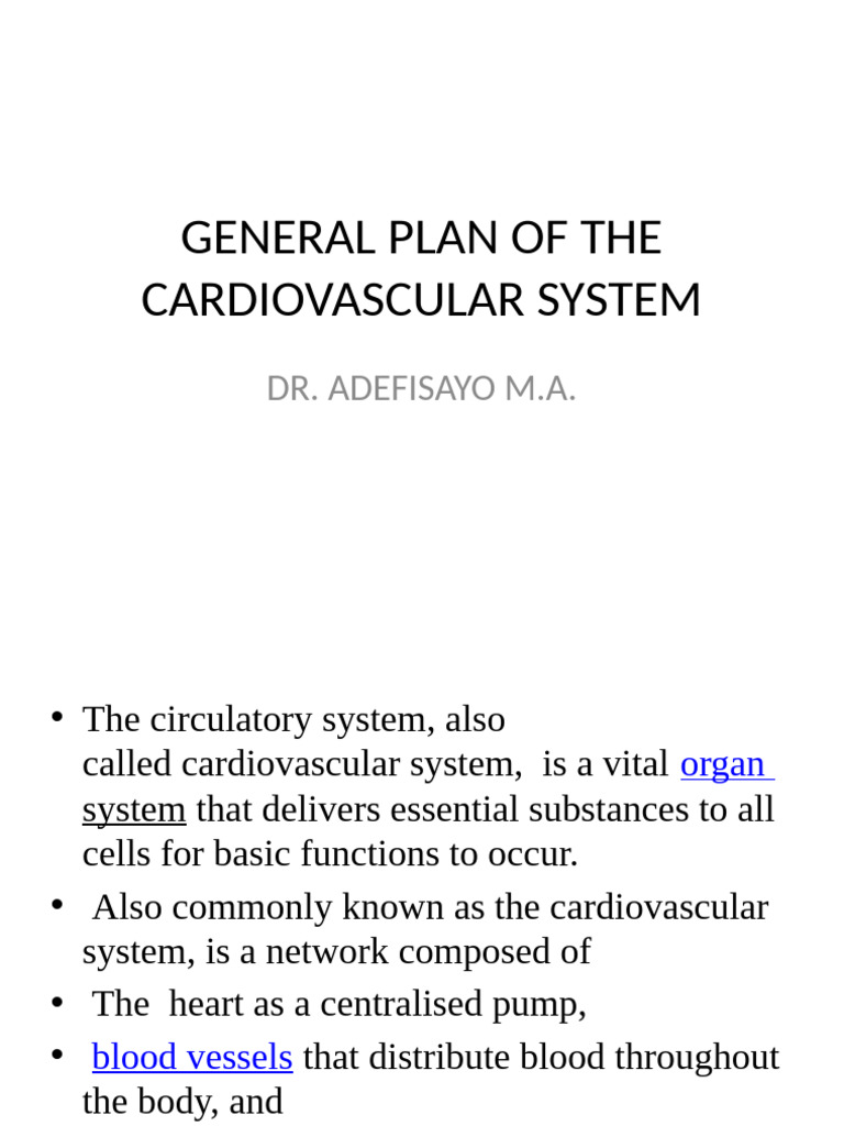 Overview of the Cardiovascular System | PDF | Artery | Aorta