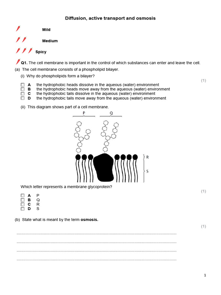 Cell Membrane Transport Mechanisms | PDF | Cell Membrane | Osmosis