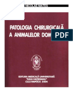 Patologie chirurgicala