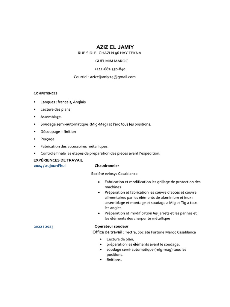 CV Aziz El Jamiy | PDF