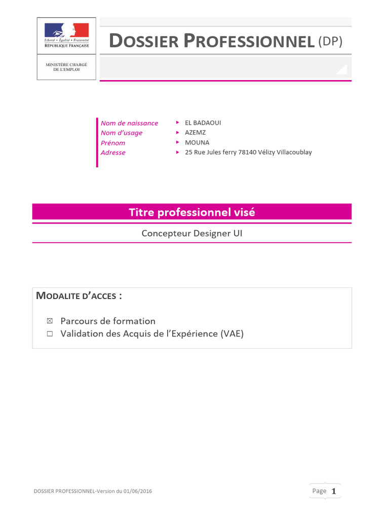 Dossier Professionnel Concepteur Designer UI | PDF