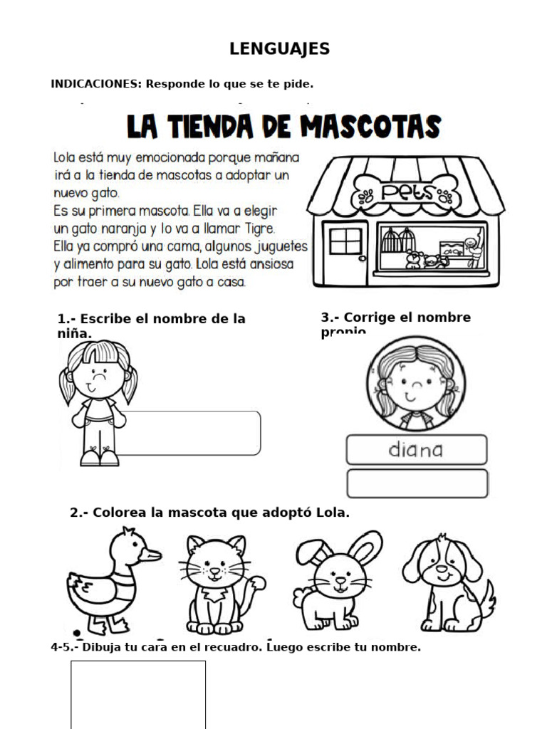 Exámenes de Lenguaje para Primer Grado | PDF