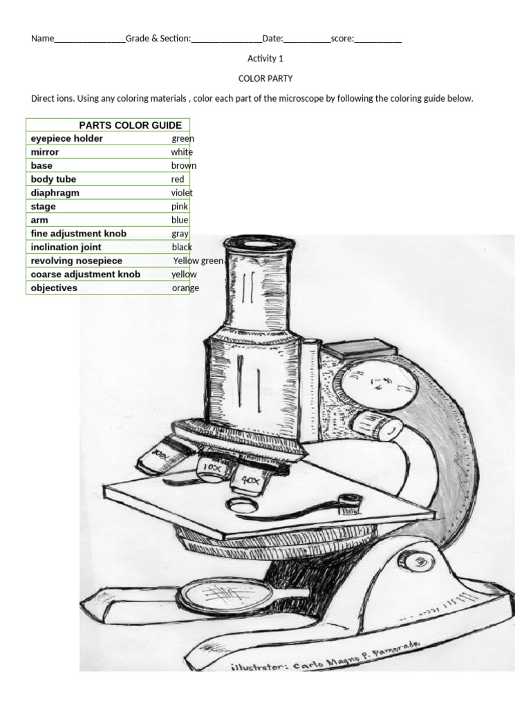 Activity Color Party Microscope | PDF