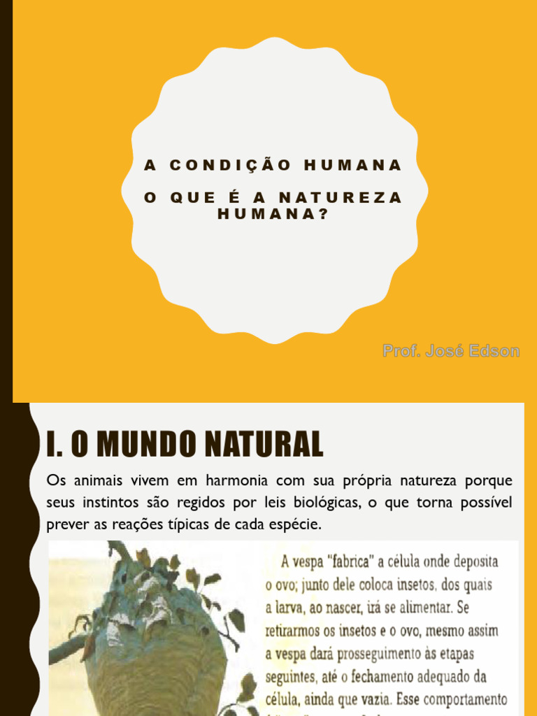 Natureza e Condição Humana na Filosofia | PDF | Humano | Natureza