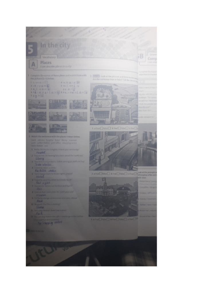 5 Aef | PDF