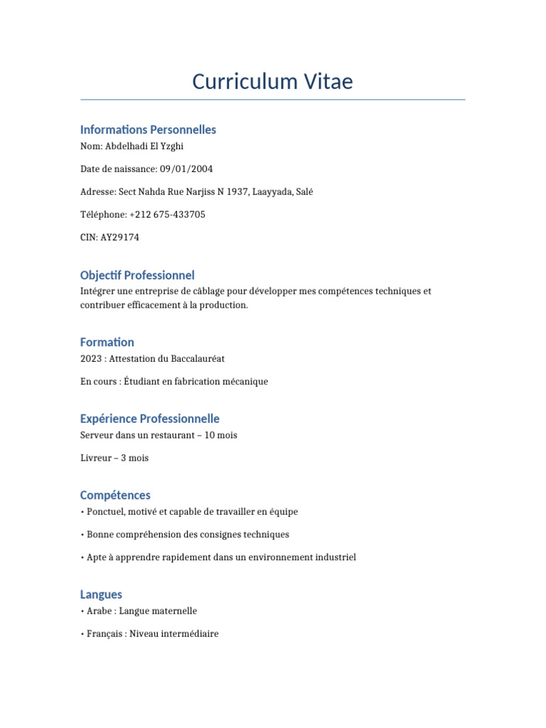 CV d'Abdelhadi El Yzghi - Câblage et Mécanique | PDF