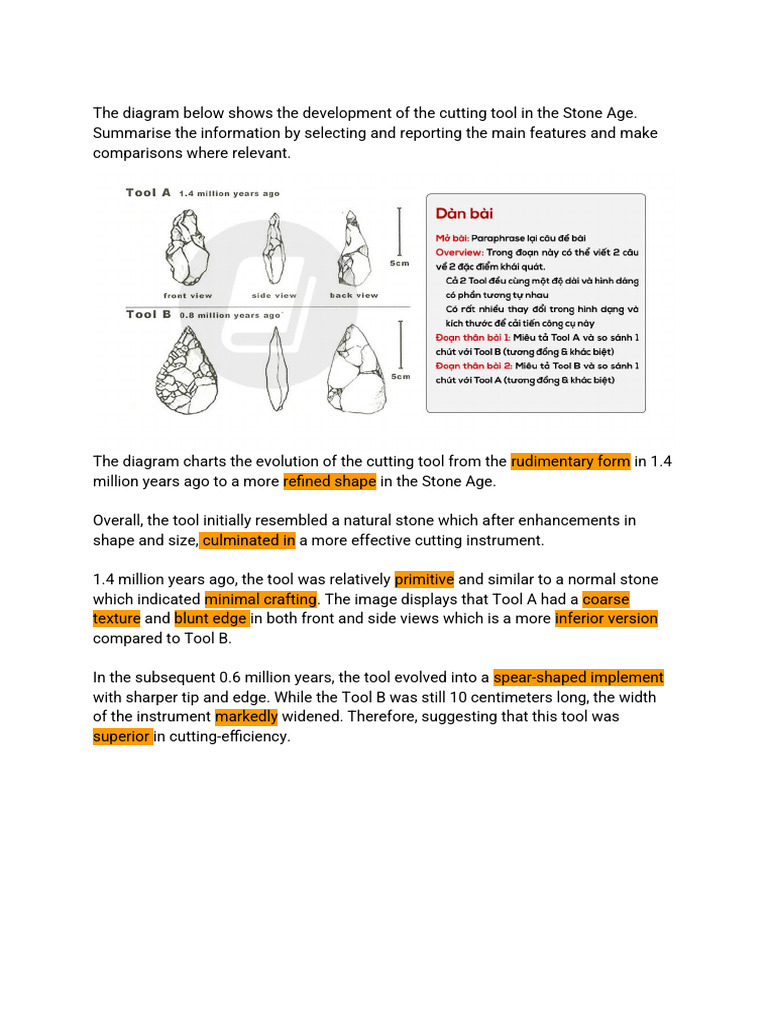 Evolution of Stone Age Cutting Tools | PDF