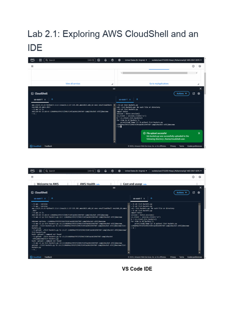 Lab 2.1 - IDE - Experiment 1 | PDF