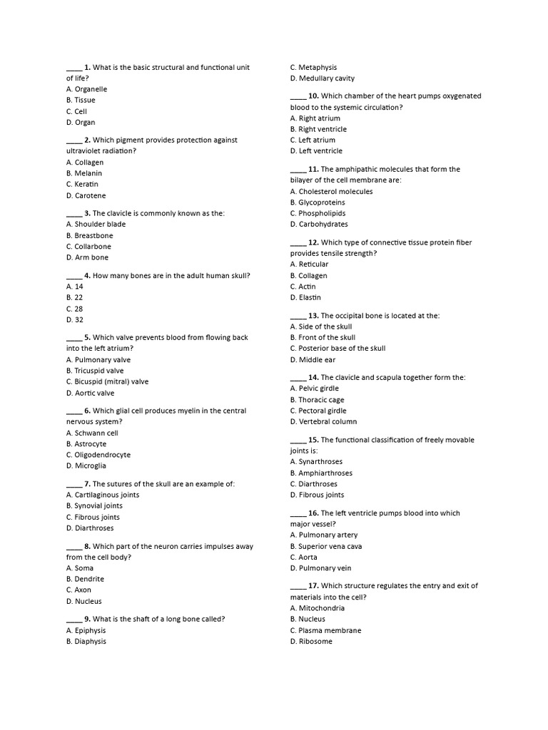 Human Anatomy and Physiology Quiz | PDF | Heart Valve | Artery