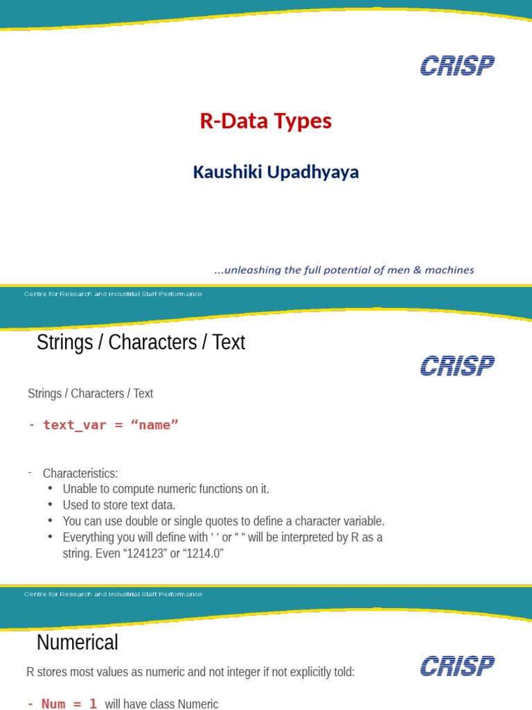 Understanding R Data Types Explained | PDF
