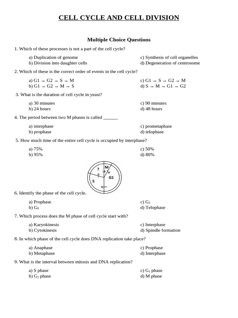 CELL CYCLE AND CELL DIVISION MCQ | PDF | Meiosis | Mitosis