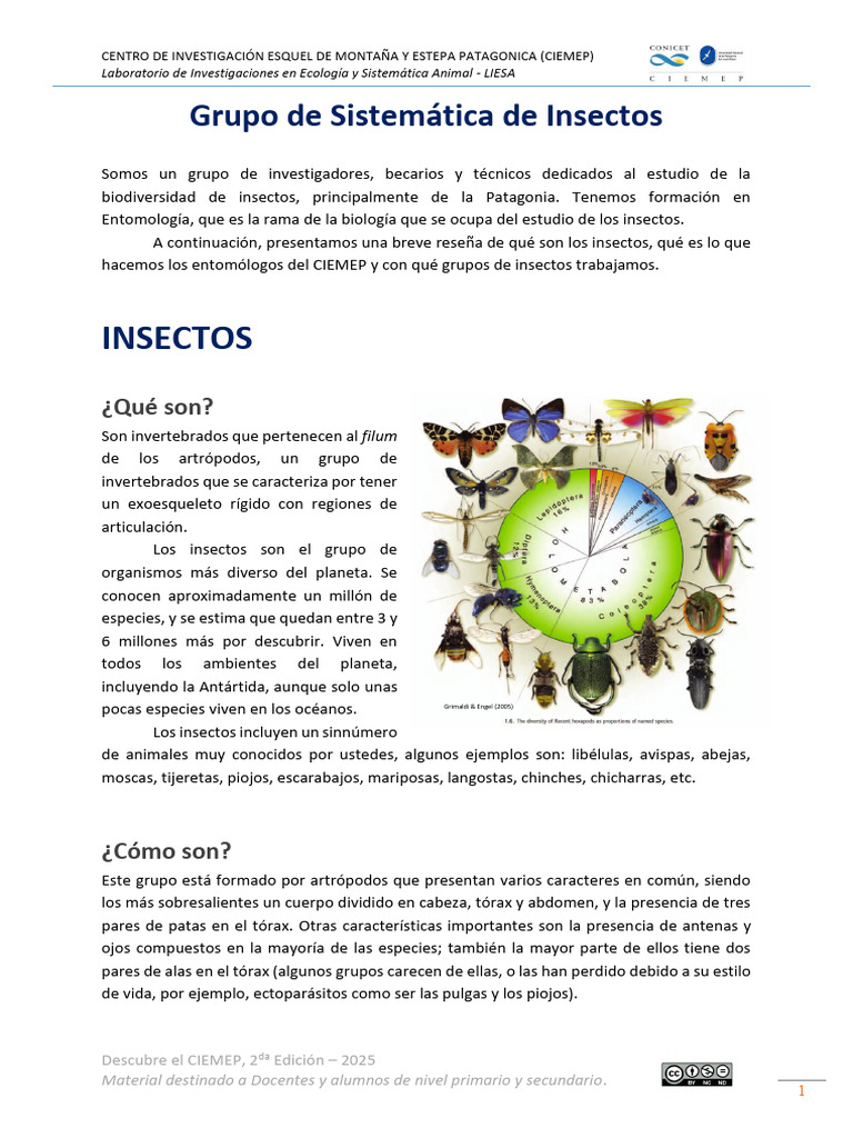 Biodiversidad de Insectos en Patagonia | PDF | Mosca | Hormiga