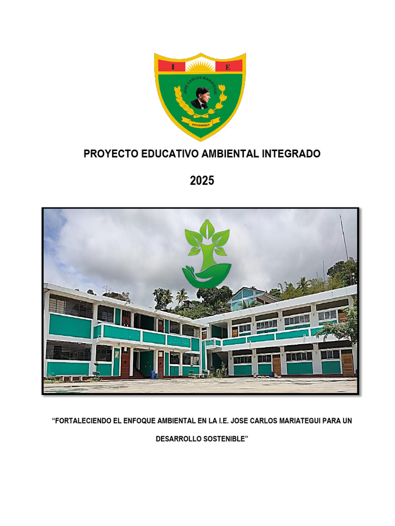 Proyecto Educativo Ambiental Integrado 2025 JCM | PDF | Institución ...