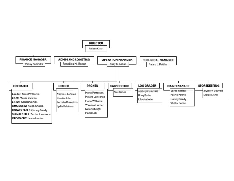 Team Structure and Roles Overview | PDF