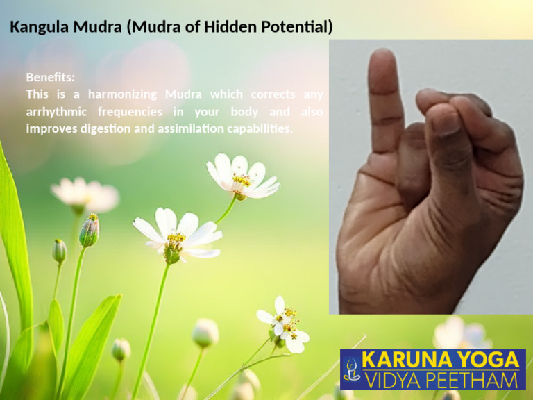 Kangula Mudra: Hidden Potential Benefits | PDF