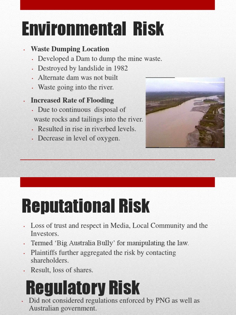 BHP Risks | PDF