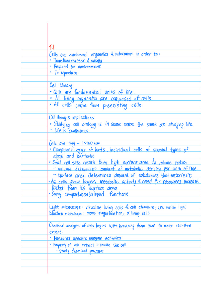 Chapter 4 Notes | PDF | Cell (Biology) | Endoplasmic Reticulum