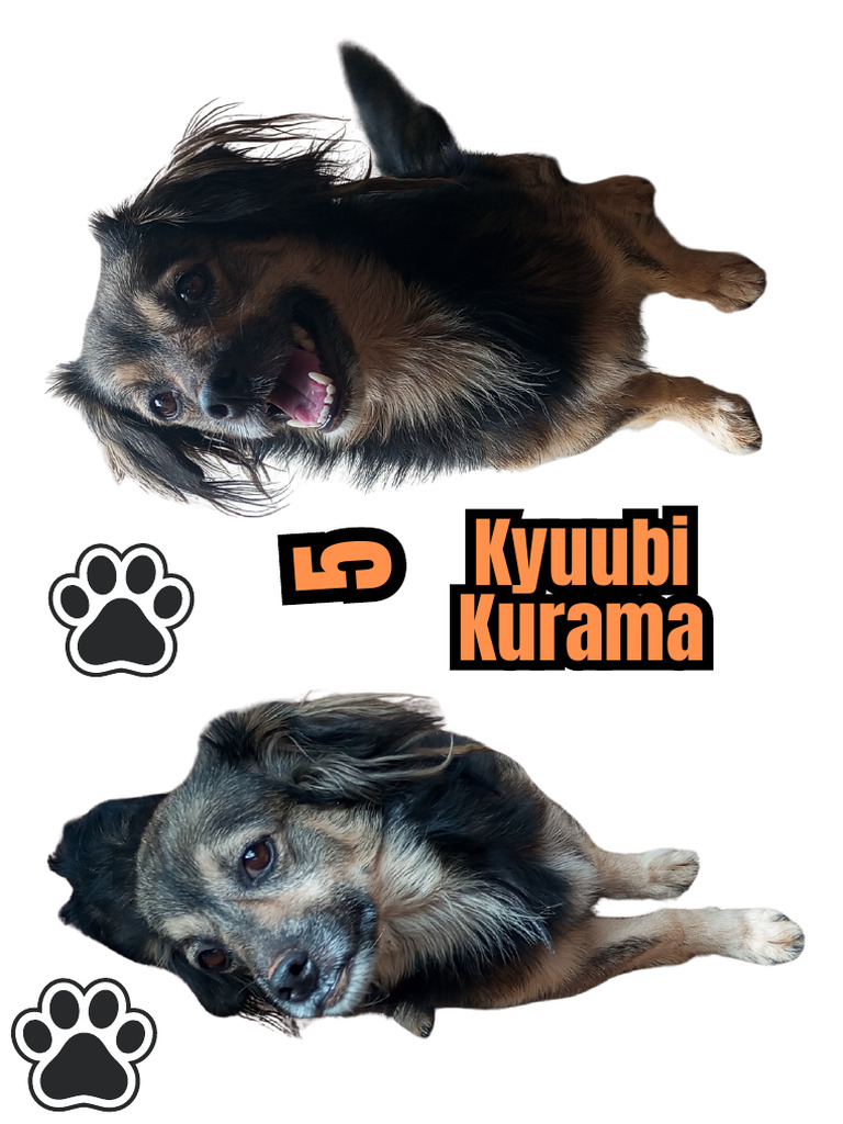 Kyuubi Kurama | PDF