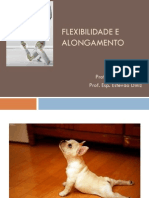 Flexibilidade e Alongamento Curso 2012