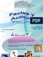 Facies y Actitud Definitivo