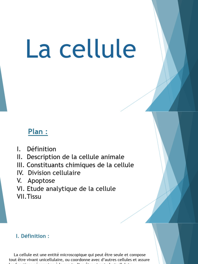 Comprendre la cellule : structure et fonctions | PDF | Cellule ...