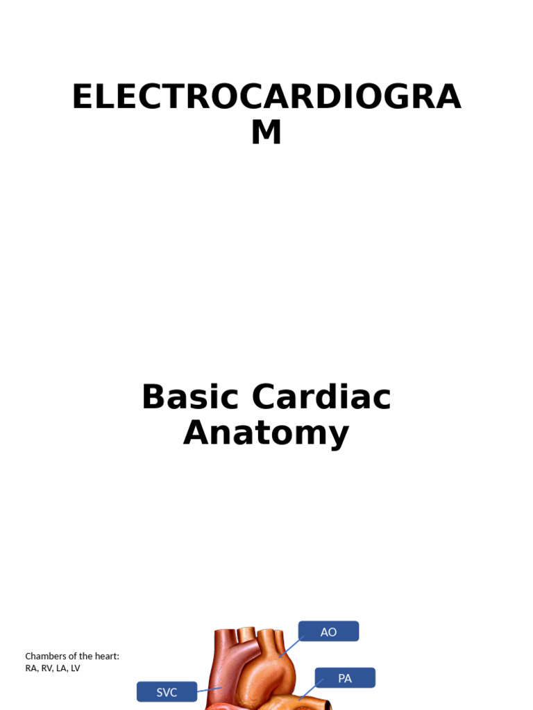 Electrocardiogram Part 1 | PDF | Heart | Action Potential