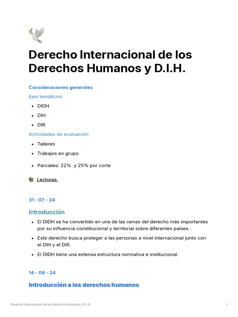 Derecho Internacional de los Derechos Humanos | PDF | Derechos humanos ...