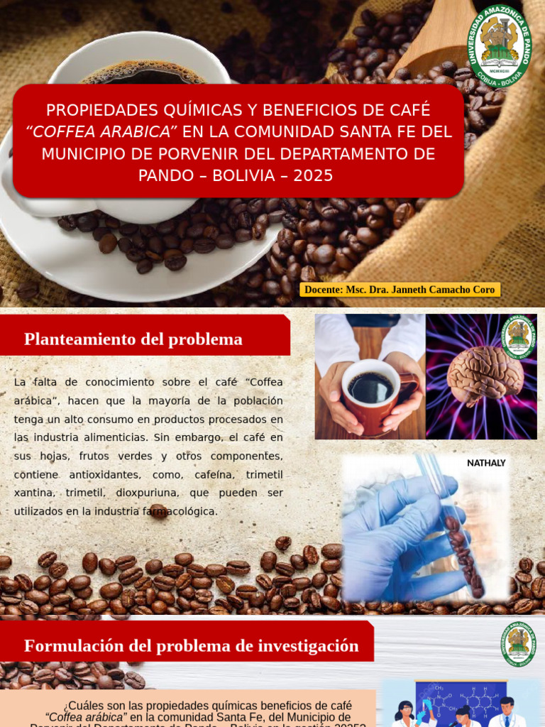 Propiedades y Beneficios del Café Arábica | PDF | Cafeína | café