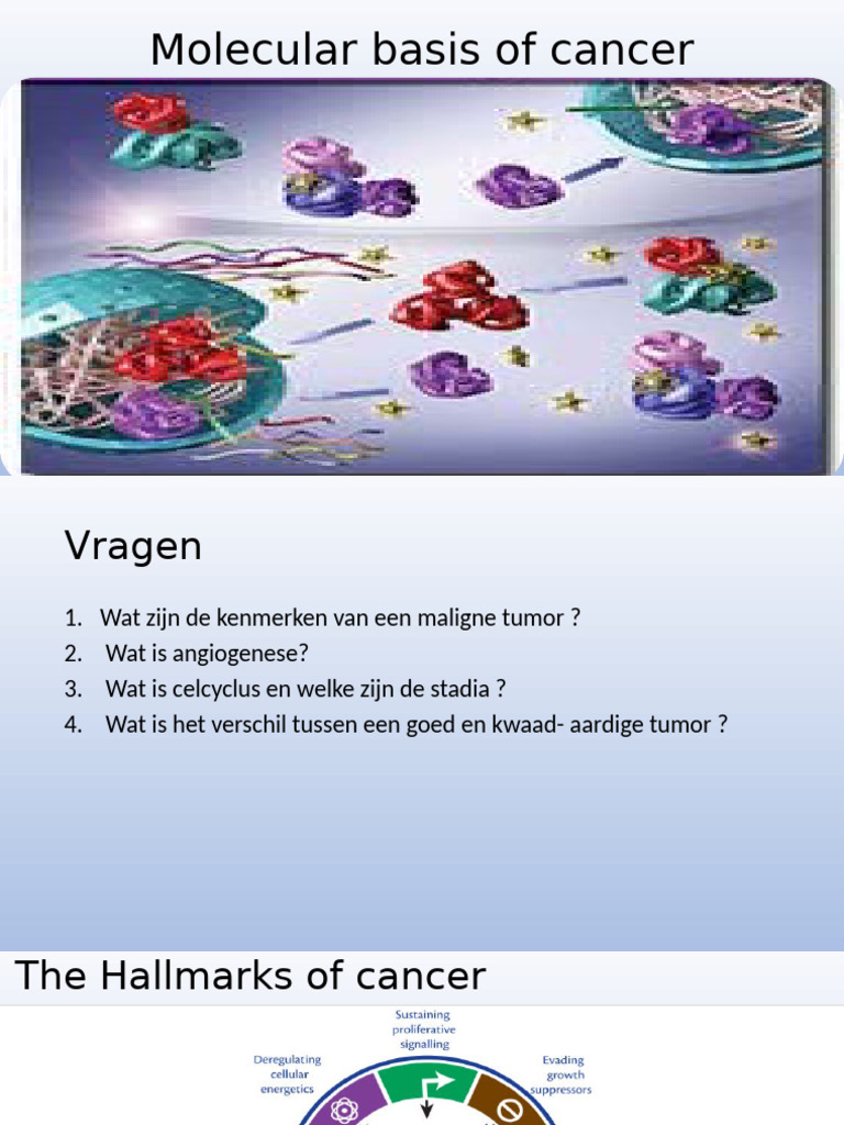 Molecular Basis of Cancer 2 | PDF