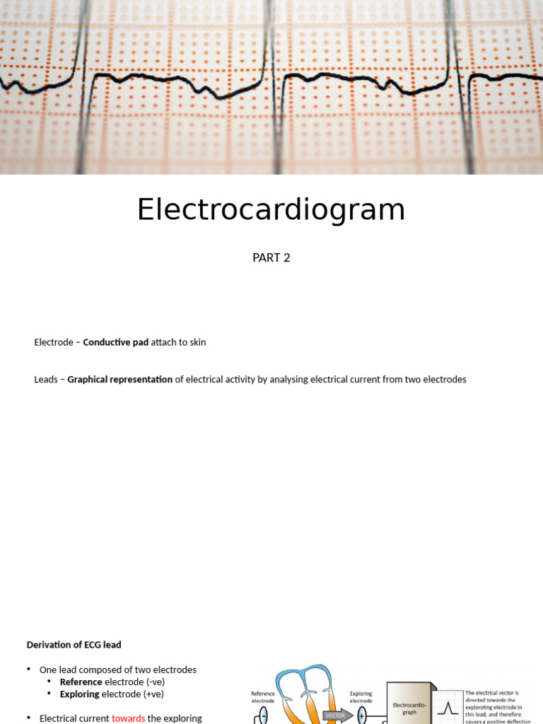 12 Lead ECG Procedure and Analysis | PDF | Electrocardiography | Physiology