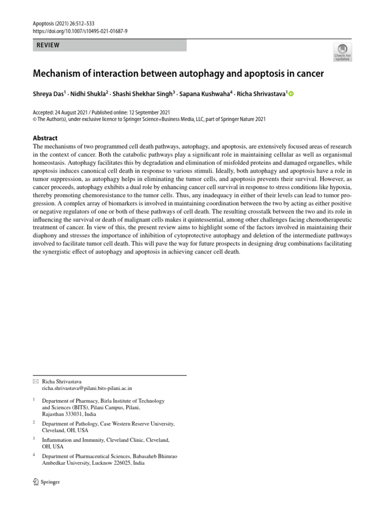 Autophagy and Apoptosis in Cancer Dynamics | PDF | Apoptosis | Autophagy