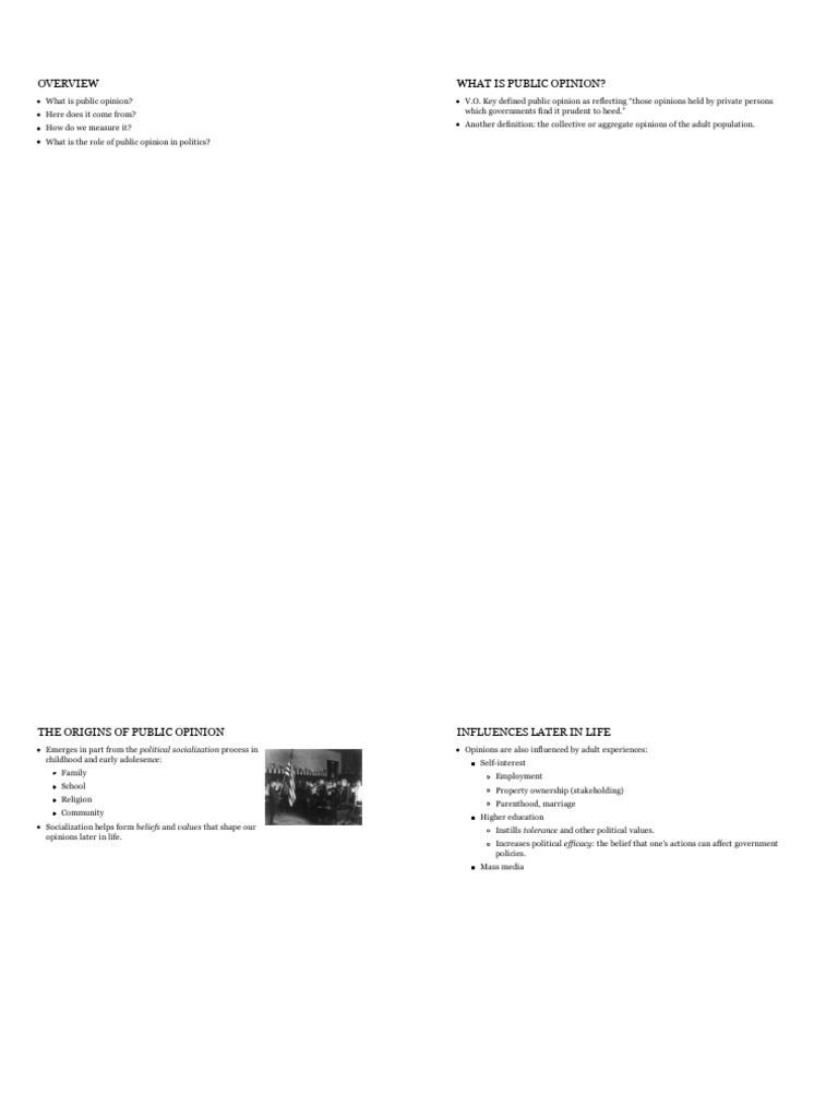 Understanding Public Opinion in Politics | PDF