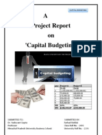 Capital Budgeting Project Report