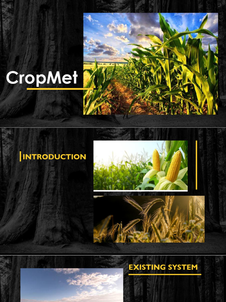 Crop1 | PDF