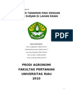 Download Budidaya Tanaman Padi Dengan Sistem Surjan Di Lahan Rawa by Harry SN94140812 doc pdf