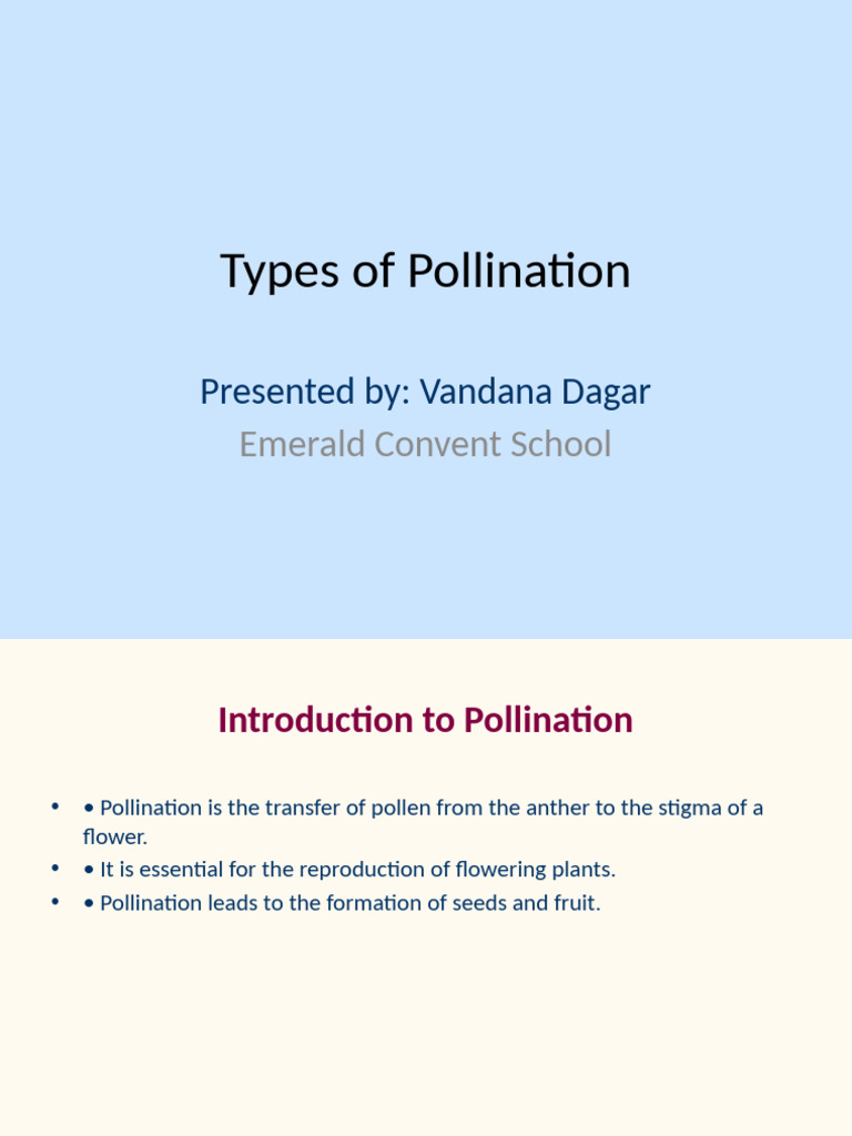 Understanding Pollination Types | PDF