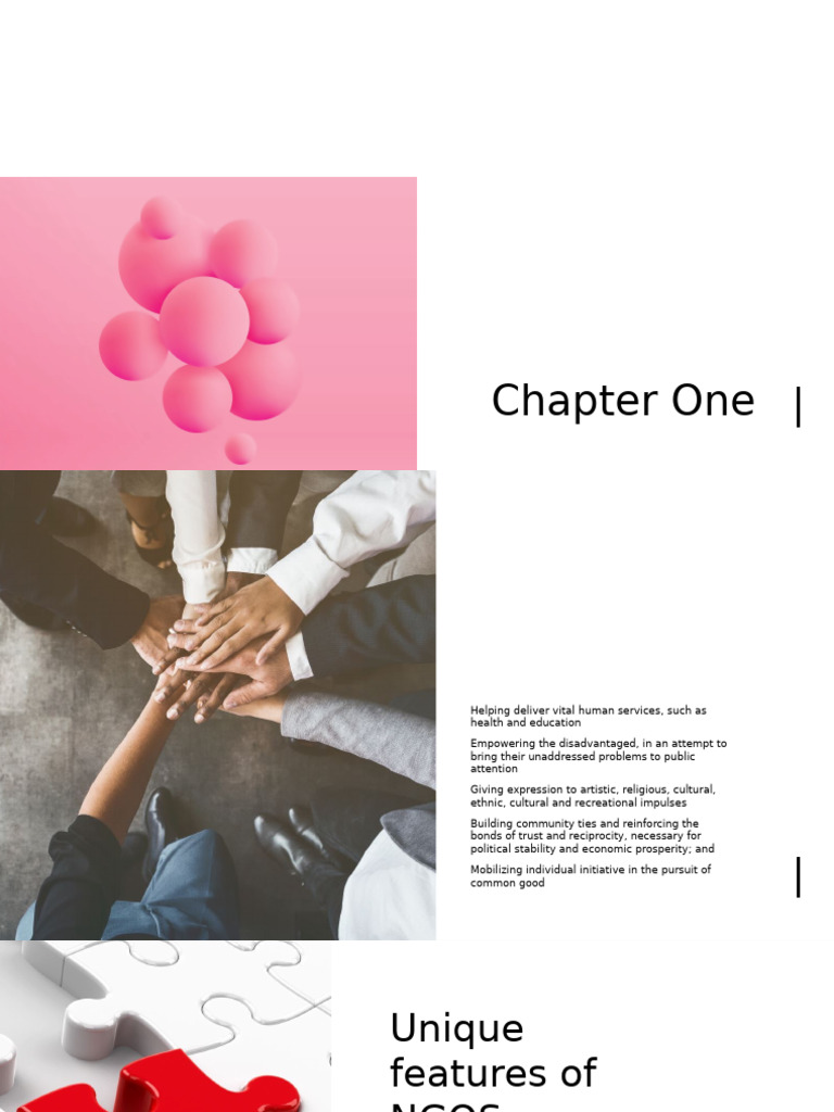 Understanding NGOs: Functions and Types | PDF | Non Governmental ...