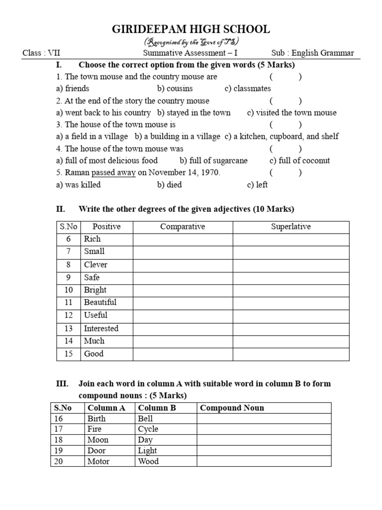 English Grammar Assessment for Class VII | PDF | Linguistics ...