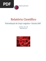 relatório grupo sanguíneo