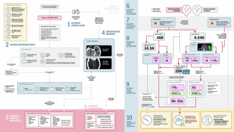 Mastering Stroke Codes - Protocol | PDF