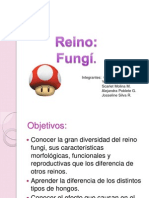 Reino Fungi