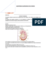 Articulode Urologianumero 1