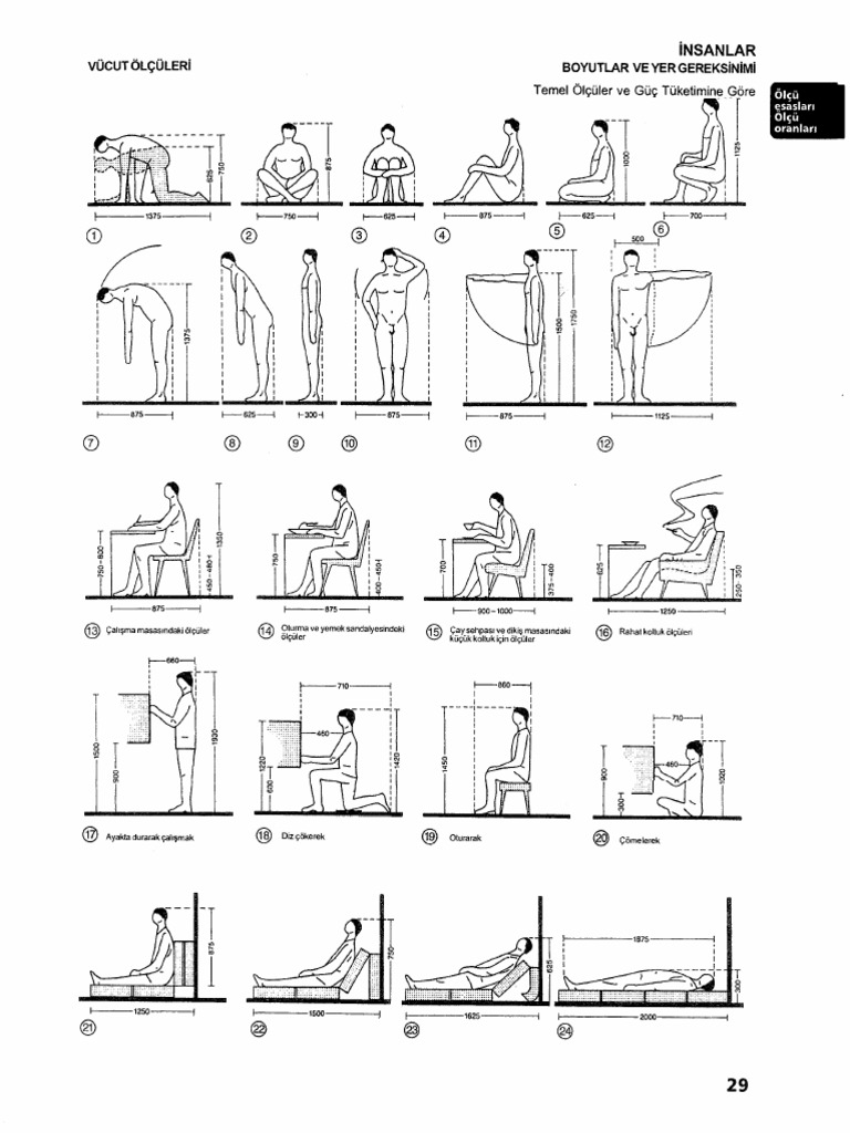 Ernst Neufert Yapı Tasarım Bilgisi-Antropometri-ergonomi | PDF