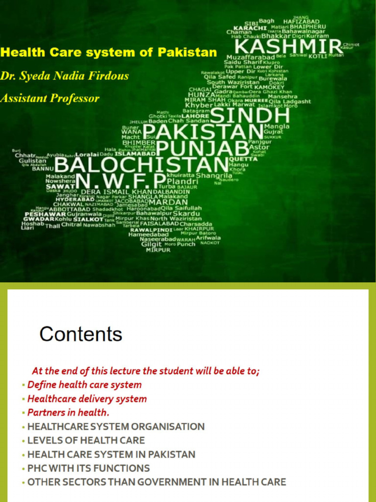 Health Care System in Pakistan | PDF