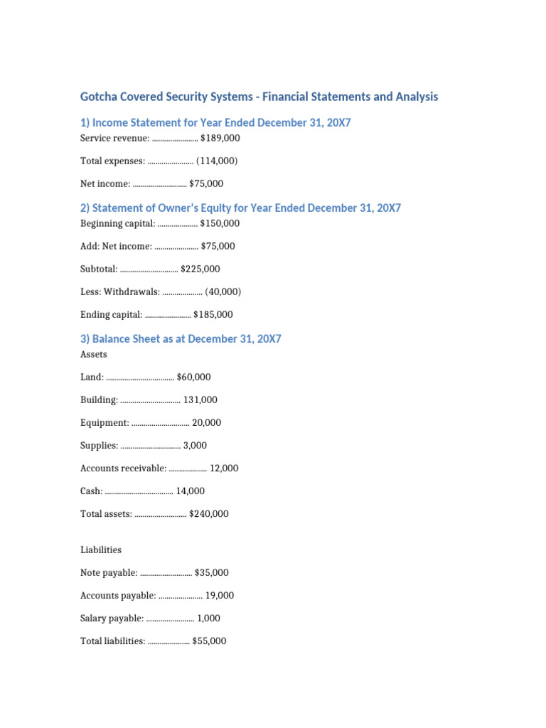 Gotcha Covered Security Financials 20X7 | PDF