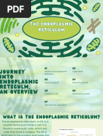 SER vs RER: Functions and Differences | PDF | Endoplasmic Reticulum ...