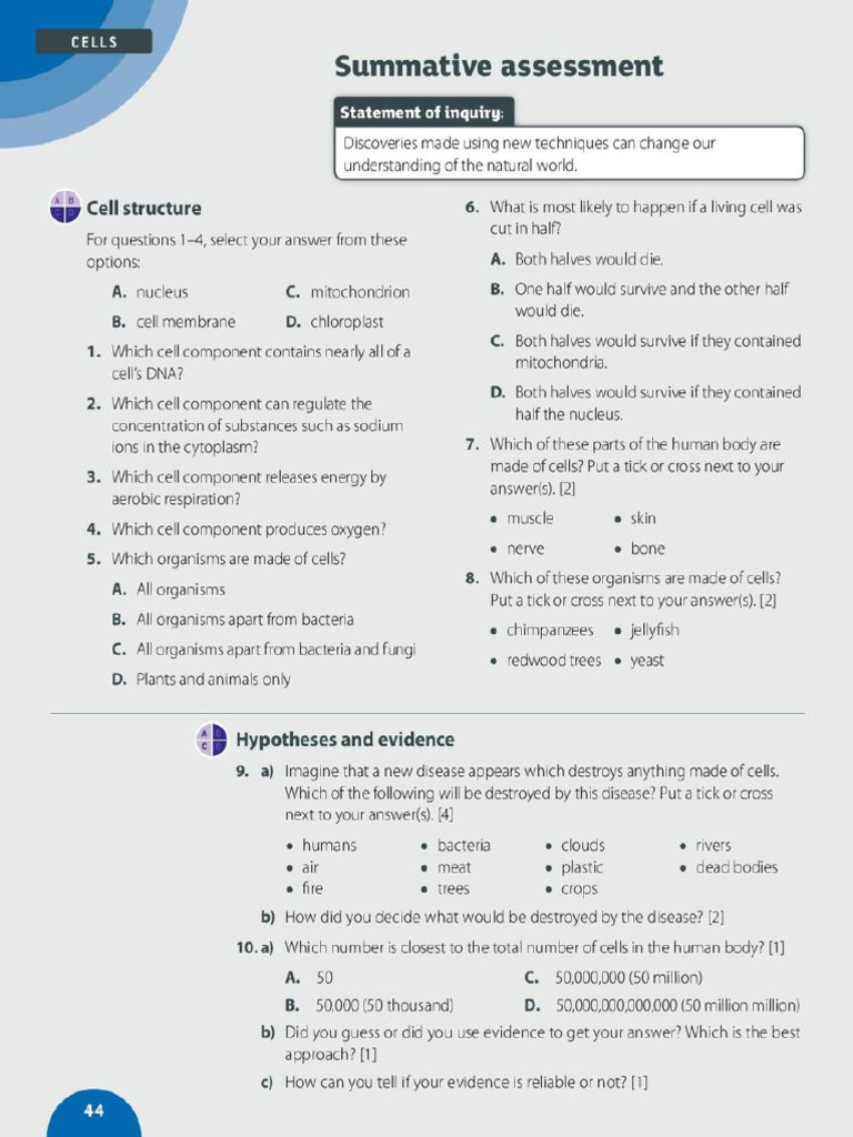 Summative Mock | PDF