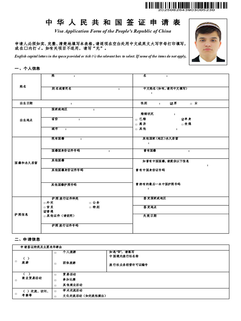 ApplyForm 2025082643903005230 PDF | PDF | Travel Visa | Passport