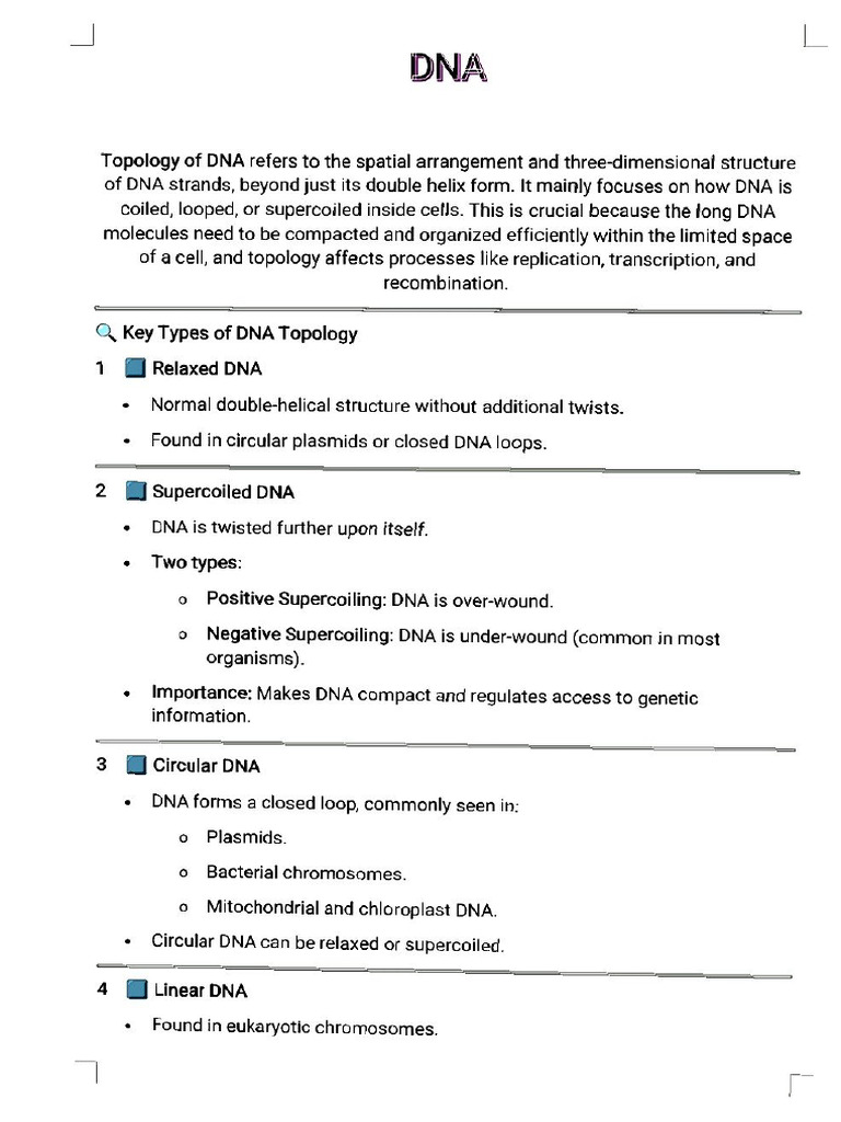 DNA | PDF