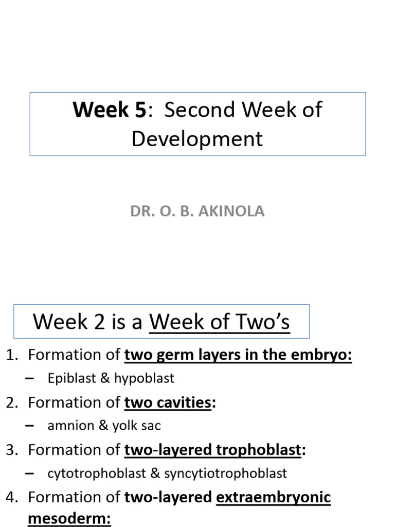 Week 5 - Second Week of Devt | PDF | Morphology (Biology) | Anatomy